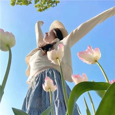 几度菊花香