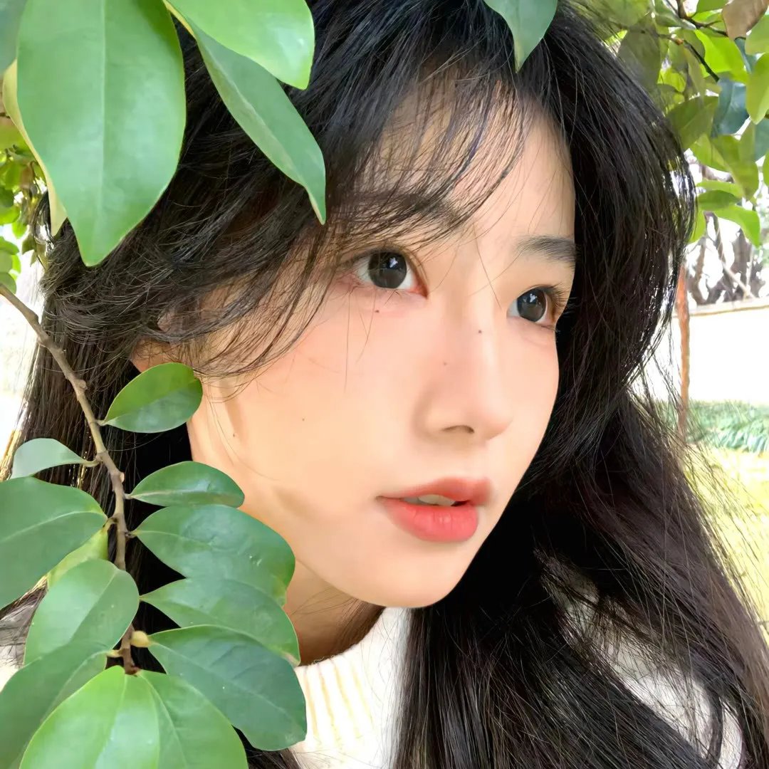 春苗